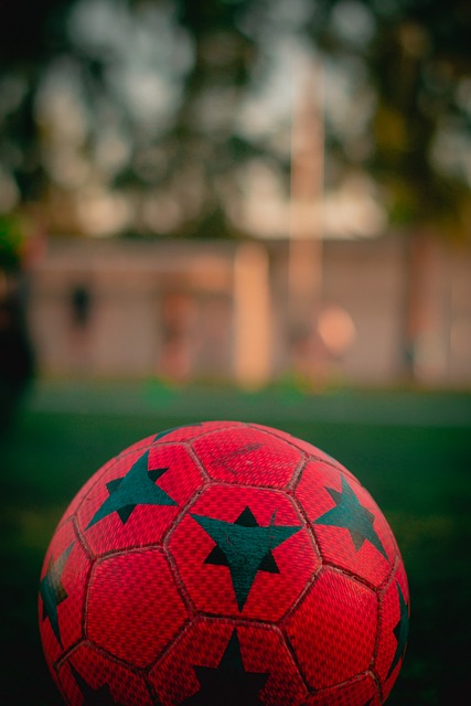 马的即时引 马的即时引