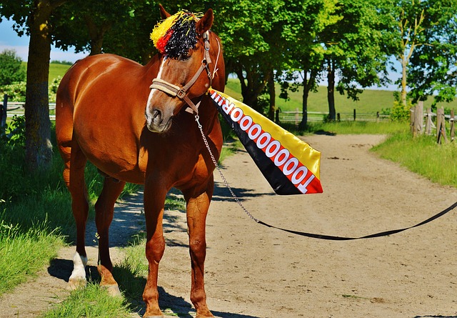 今足坛明星 今足坛明星