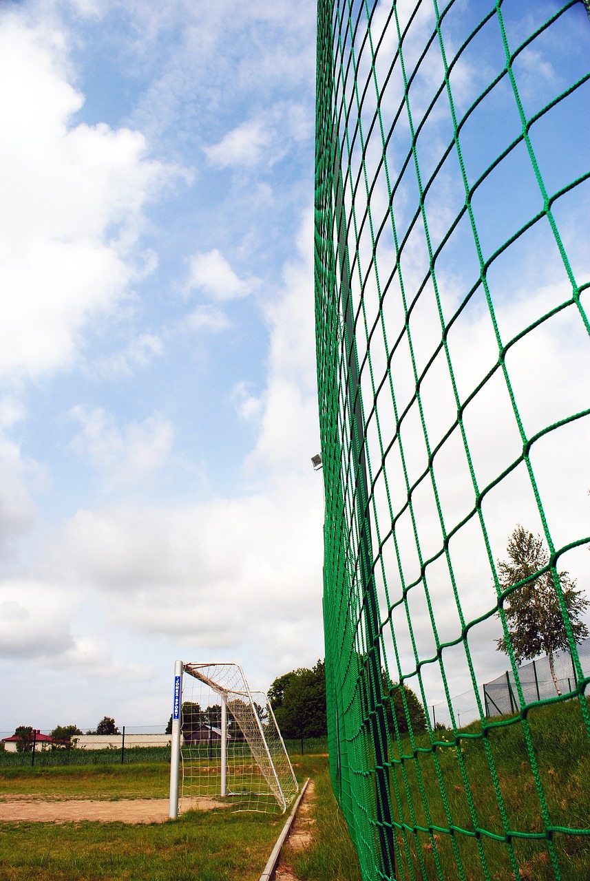 但防守也将 但防守也将