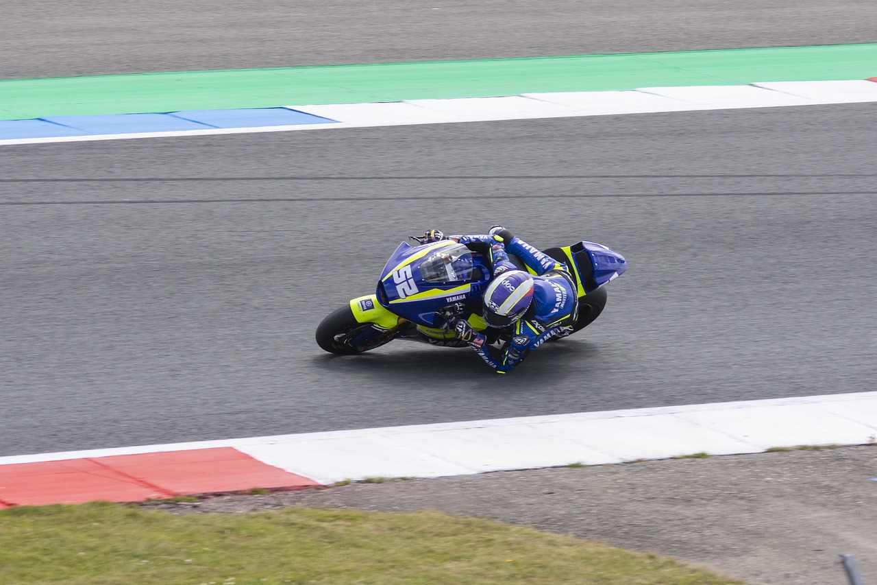 疑为他们提 疑为他们提