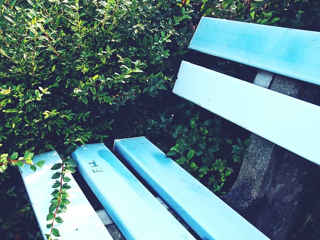 他對每一件 他對每一件