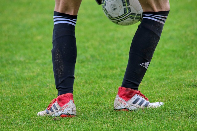 加長路線獲 加長路線獲