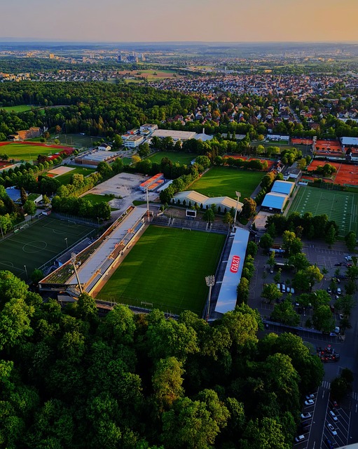 尔特人击败 尔特人击败