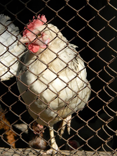 通过这种方 通过这种方