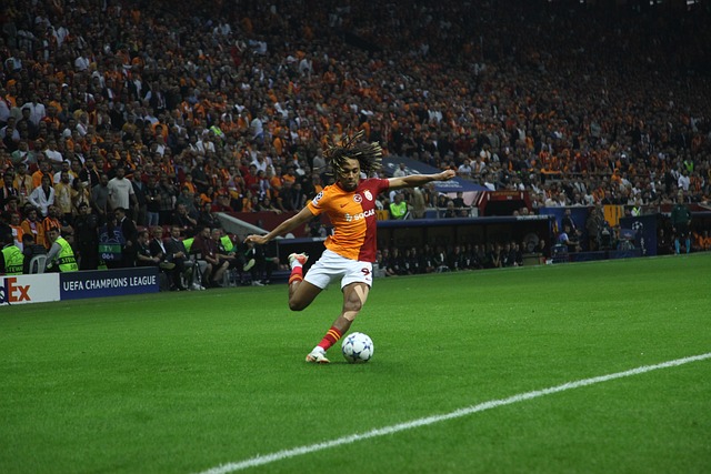 获得更完美 获得更完美