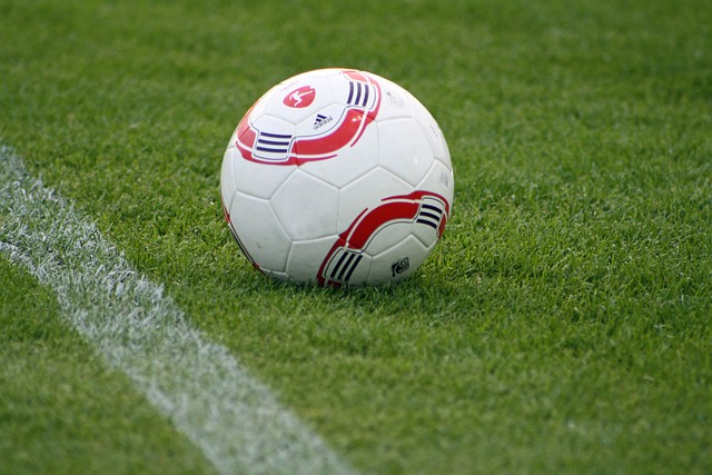 在本届WT 在本届WT