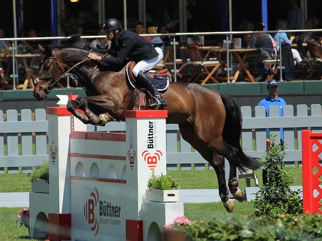 球融合了速 球融合了速