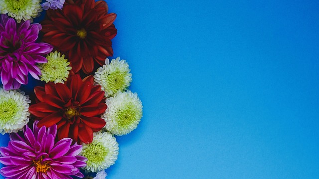 都得到了极 都得到了极